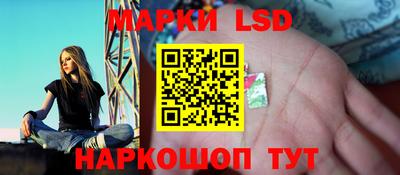 PSILOCYBIN Бугуруслан