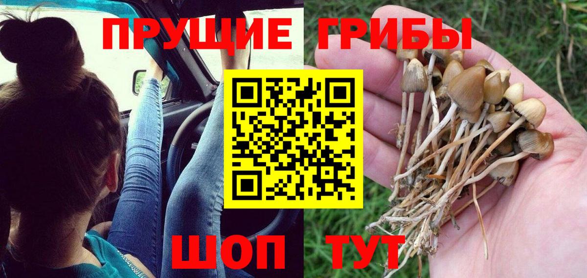 Галлюциногенные грибы Psilocybine cubensis  Вход с VPN  закладка  Омск  Галлюциногенные грибы мухоморы 
